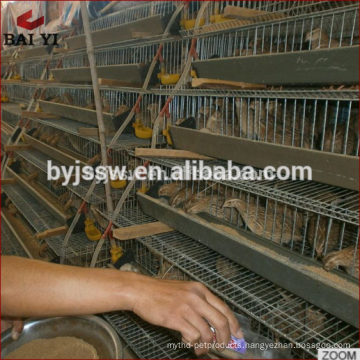 Poultry Farm Quail Breeding Cages for Sale in Malaysia